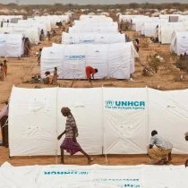 From Refuge from Warfare to Haven for Climate Migration