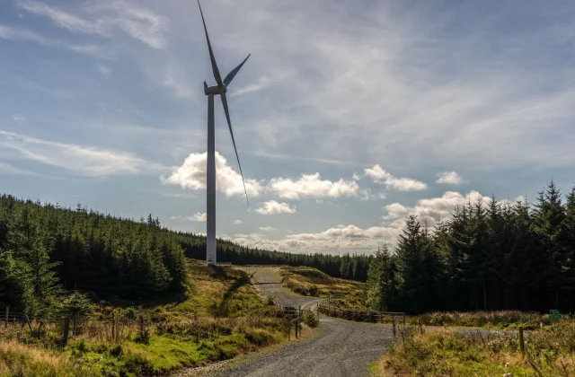Ireland Secures Its Highest Ever Position on the Global Emissions Index