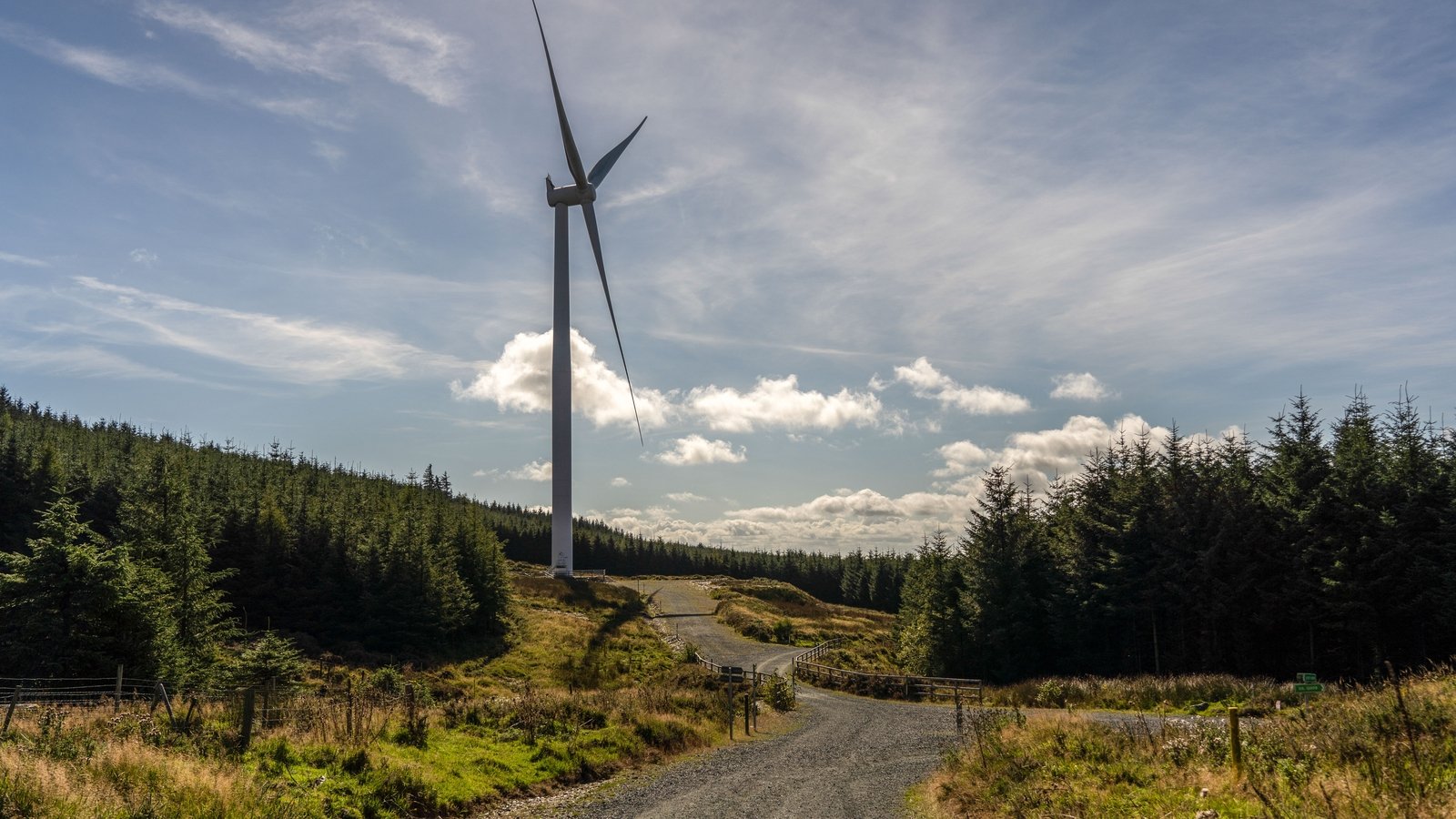 Ireland achieves best ranking yet on global emissions scale