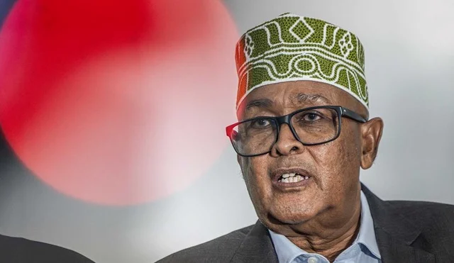 North Western State of Somalia’s Opposition Chief Secures Victory in Presidential Race