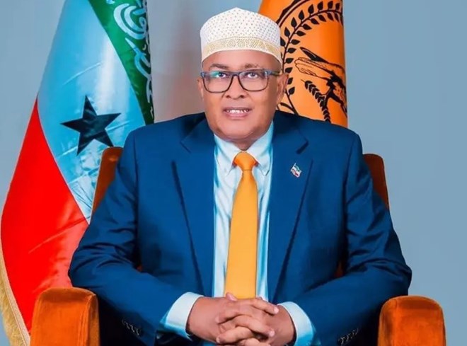 Somaliland opposition leader Abdirahman Irro wins election