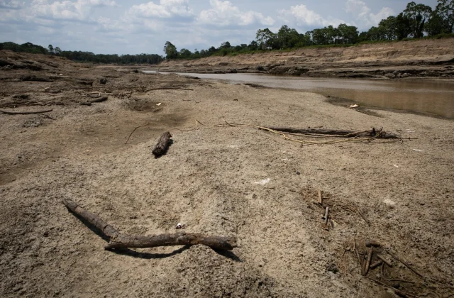 Severe Drought in the Amazon Affects 420,000 Kids