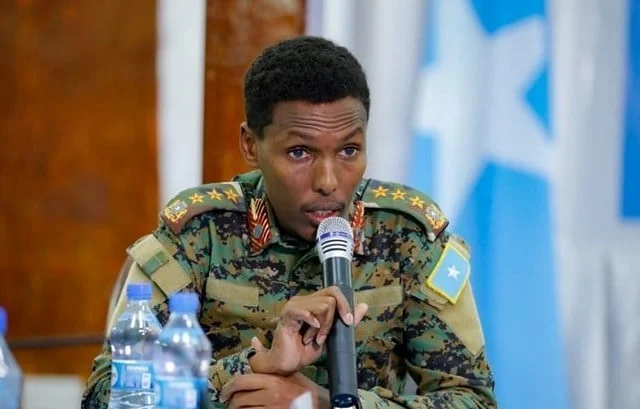 Somali Cabinet Dismisses Army Leader, Reinstates Former Official
