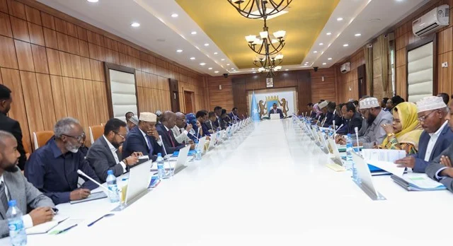 Somali Cabinet Endorses New Head for Statistics Bureau