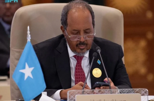 Somali Leader Reiterates Backing for Palestinians, Calls for Swift Ceasefire