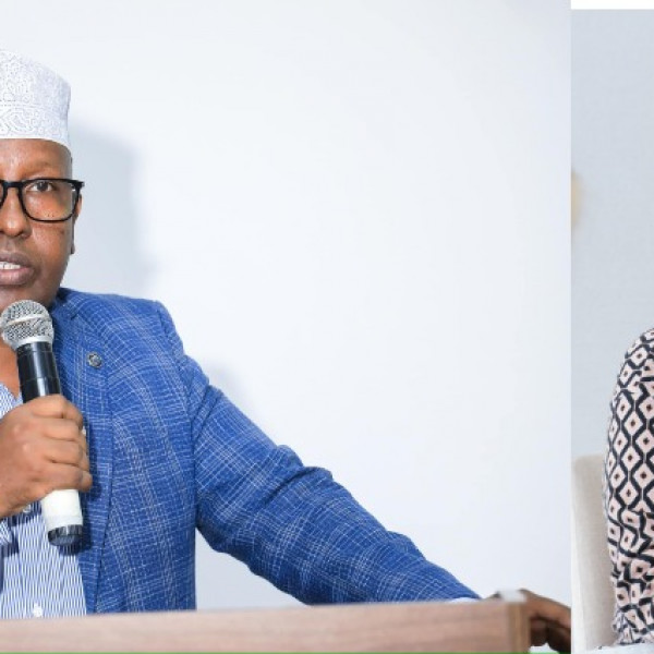 Somali Ministers Dispute Over WMO Envoy Position Unveiling Corruption Worries