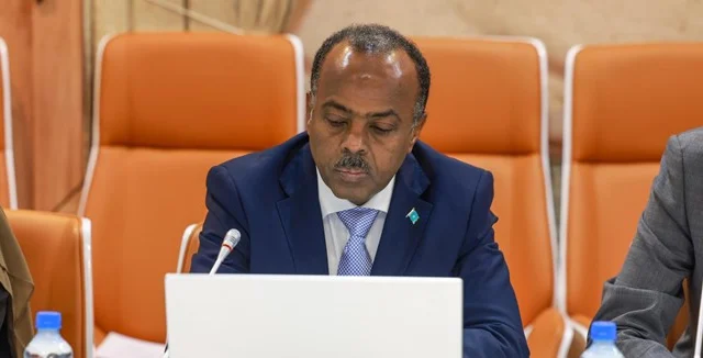 Somalia Announces Return of Citizens Convicted in Germany