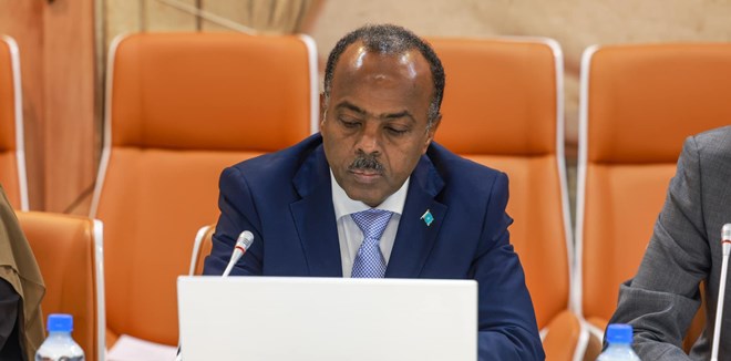 Somalia confirms repatriation of convicted nationals from Germany