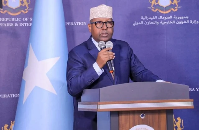 Somalia Rebukes International Envoys for Comments on North Western State of Somalia Polls