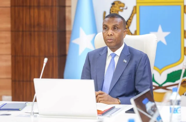Somalia Removes Fertilizer Restrictions to Strengthen Agriculture and Improve Food Security