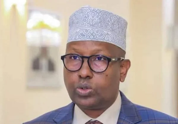 Somalia’s Pursuit of Direct Elections is ‘Irreversible,’ Declares Foreign Minister