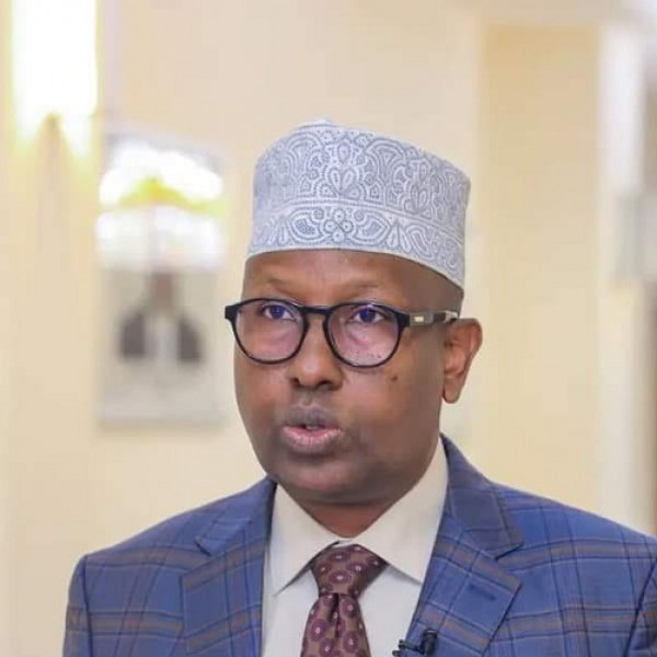 Somalias Pursuit of Direct Elections is Irreversible Declares Foreign Minister
