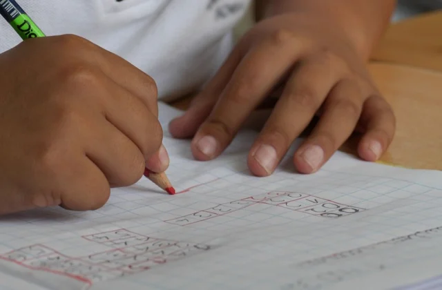Surveys Uncover Educational Challenges in Eastern and Southern Africa