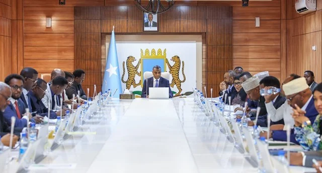 Two Somali Ministers Step Down, Claiming Federal Government Conspiracy to Heighten Regional Strife