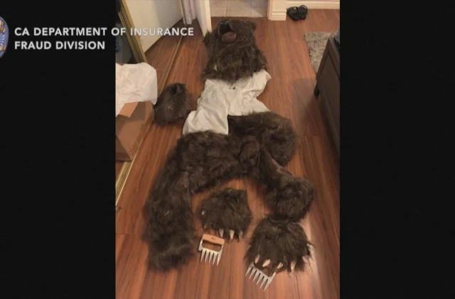 Video Reveals Arrests in Fraud Case After Man in Bear Suit Vandalizes Vehicles Across the US