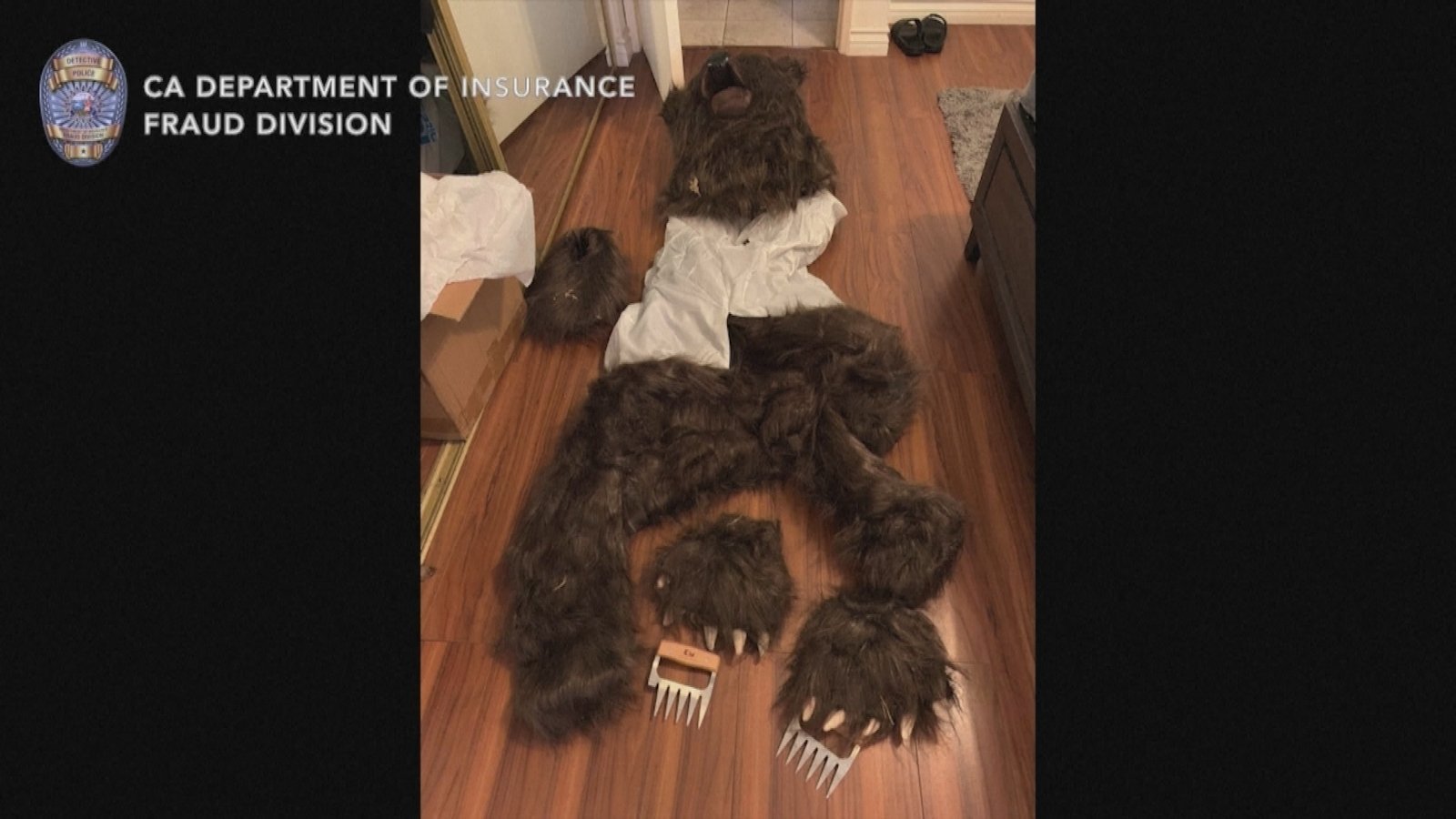 Watch: Fraud arrests as man in bear costume damages cars in US