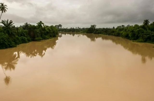 Widespread Illicit Mining in Ghana Poses a Grave Threat to the Environment