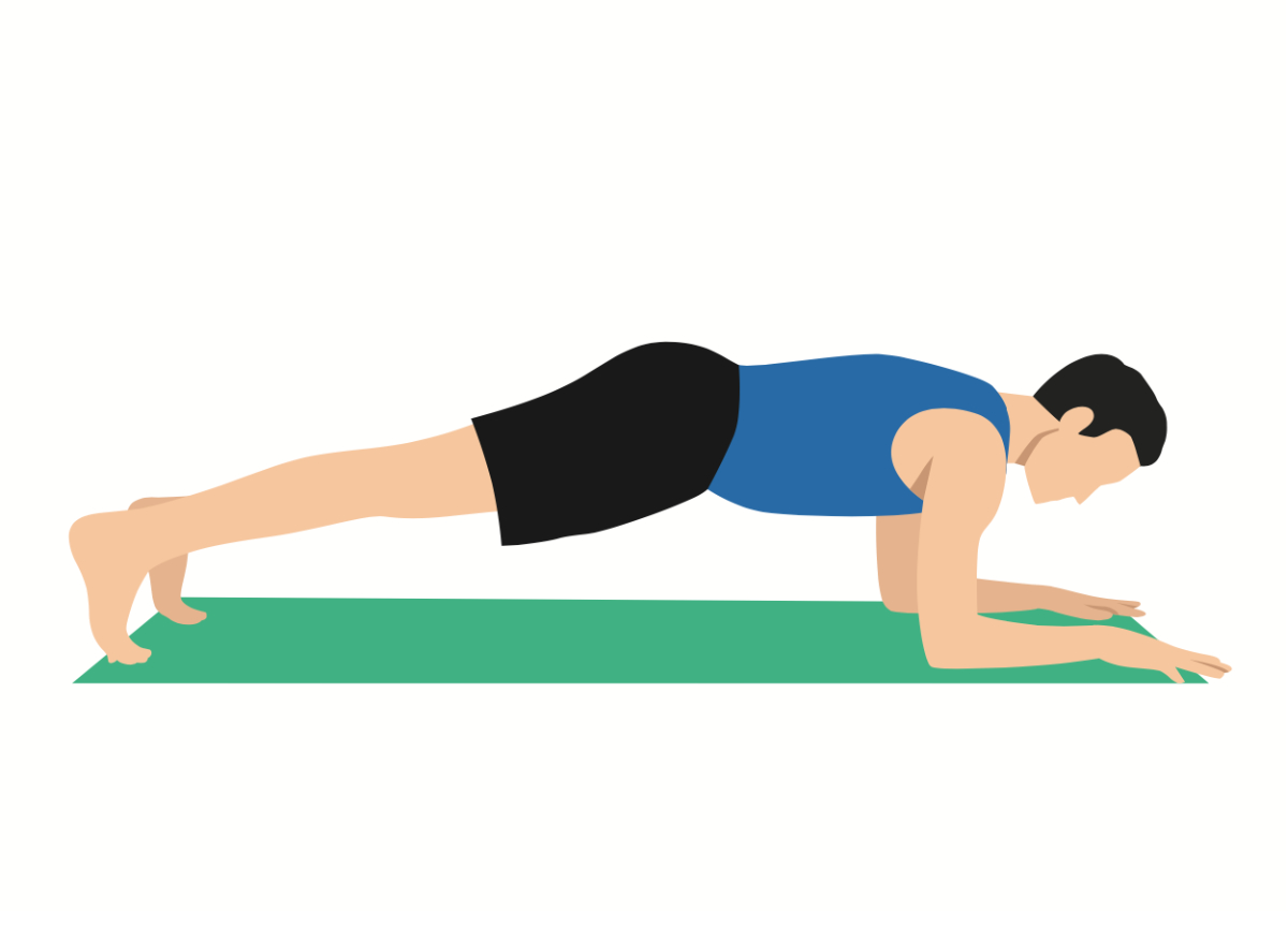 illustration of forearm plank