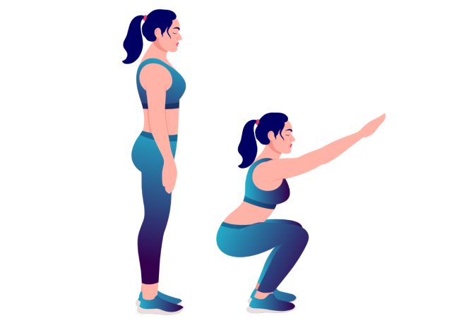 a daily bodyweight routine to trim your waistline 23 illustration of squat