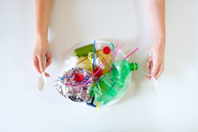 1740489460 559 study reveals dangers of microplastics found in food packaging