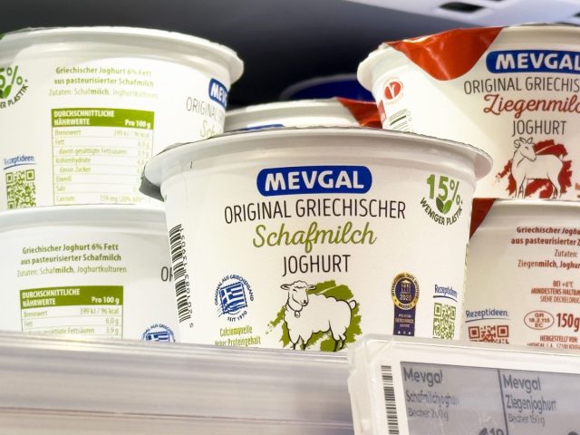 raw sheep's milk yogurt