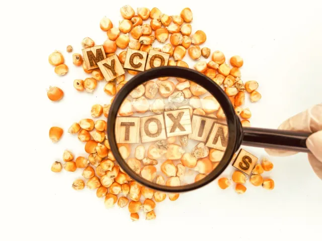 1748974376 118 7 hidden habits that could be sabotaging your metabolism