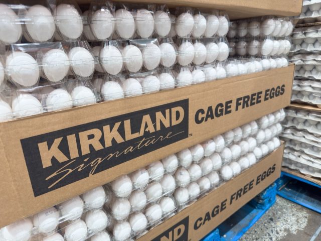 10 costco products to help you reduce body fat percentage in just one month 11 los angeles, california, usa-05-05-2023: a view of several packages with kirkland signature cage free eggs, is shown on a local costco.