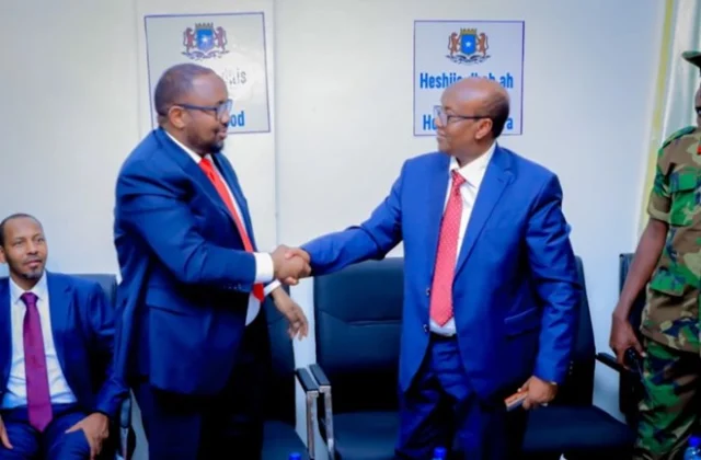 Abdikadir Ahmed Ali Firdhiye wins presidency of Somalia’s new Northeastern State