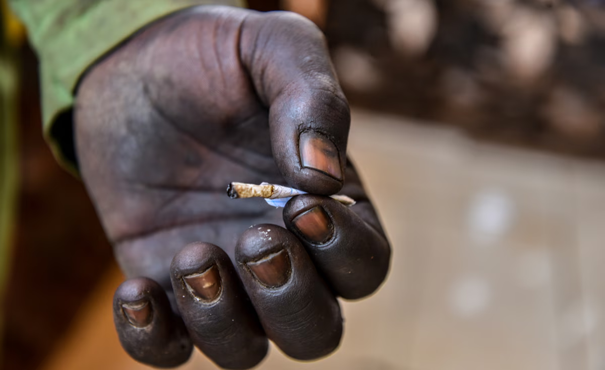 Boakai Sacks Top Anti-Drug Officials In Liberia As Crisis Deepens
