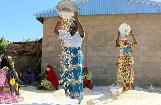 Cameroonians at Risk: WFP Urgently Needs Funds for Support