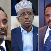 Ex-Somalia Leaders Urge Hassan Sheikh to Reclaim Lost Territories