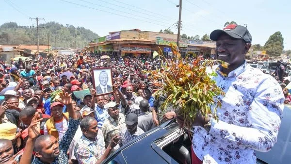 Kenya ramps up khat exports as Ethiopia challenges Somalia market