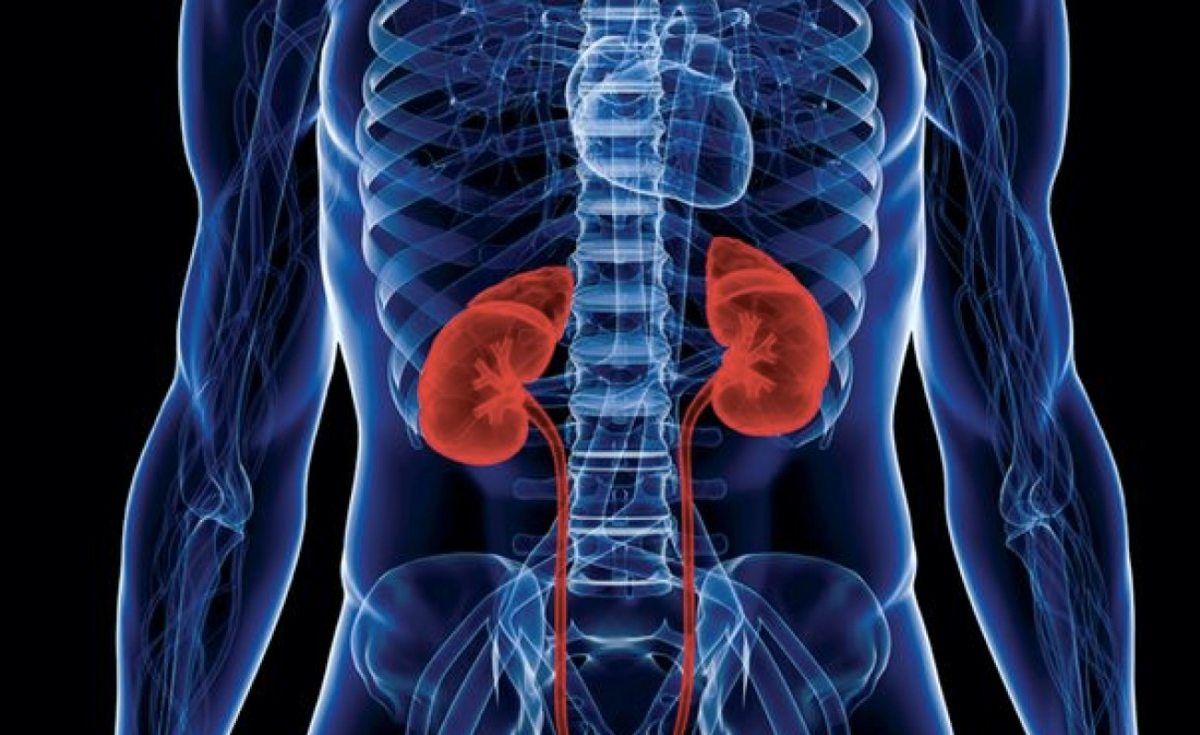Nigeria Slashes Kidney Dialysis Costs in Federal Hospitals