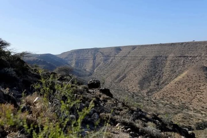 Puntland forces seize ISIS stronghold at Wangable Well in Bari region