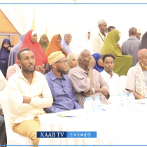 Opposition Engages with Displaced Families as Land Seizures Intensify in Mogadishu
