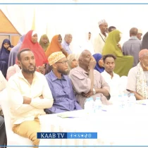 Opposition Engages with Displaced Families as Land Seizures Intensify in Mogadishu