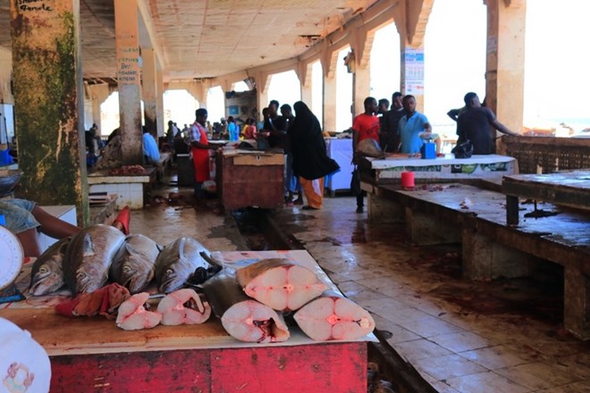 Somalia eyes seafood boom as China scraps tariffs on African imports