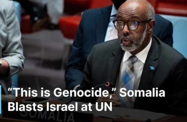 Somalia’s UN Envoy Accuses Israel of Genocide, Calls to End Gaza Blockade