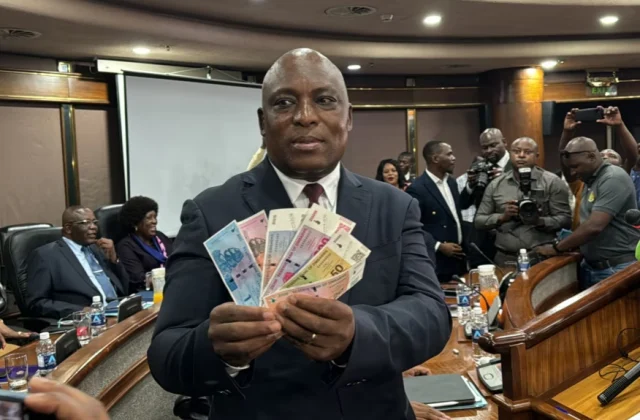 Zimbabwe’s Central Bank Plans to Revamp Its Depreciated Currency
