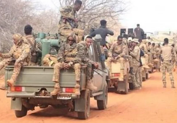 Large-scale offensive targets Al-Shabaab militants in central Somalia