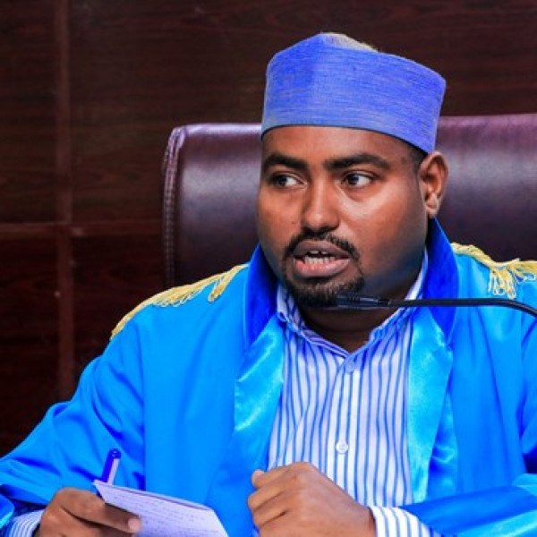 Somali Woman Sentenced to 15 Years for Raising 12M for