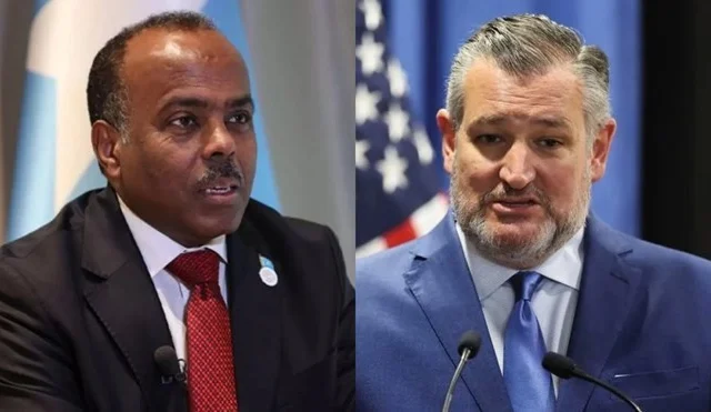 Somali deputy FM meets U.S. Senator Cruz, prominent North Western State of Somalia recognition supporter