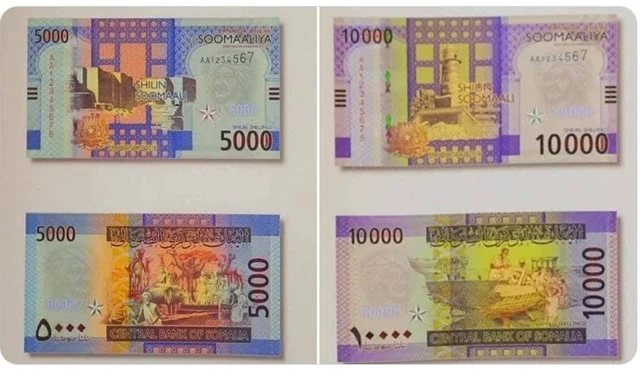 Somalia looks to raise $40 million for new currency launch