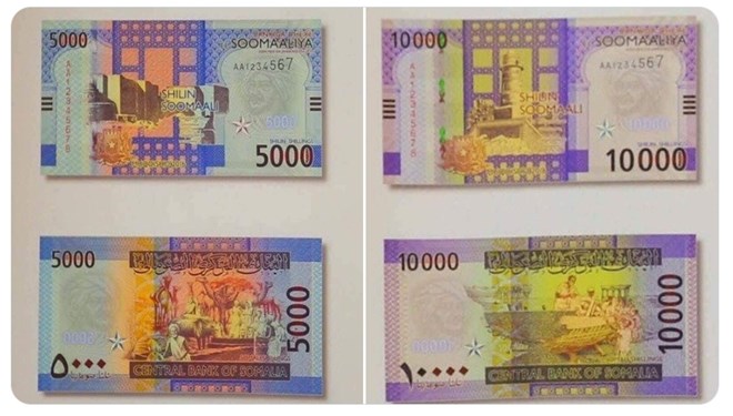 Somalia looks to raise $40 million for new currency launch