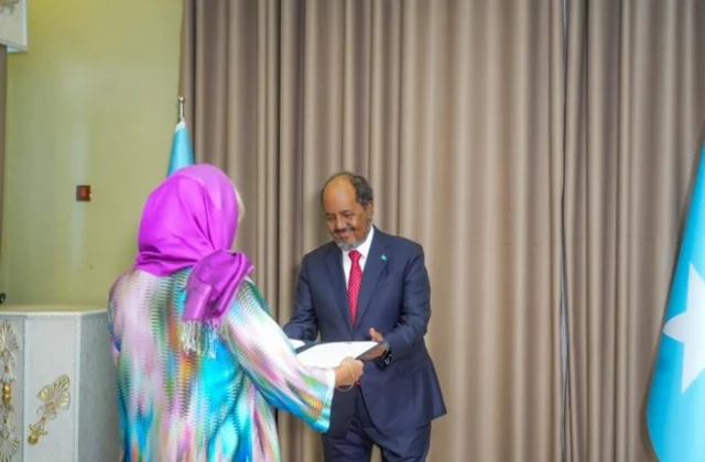 Somalia’s president accepts credentials from newly appointed EU, Netherlands ambassadors