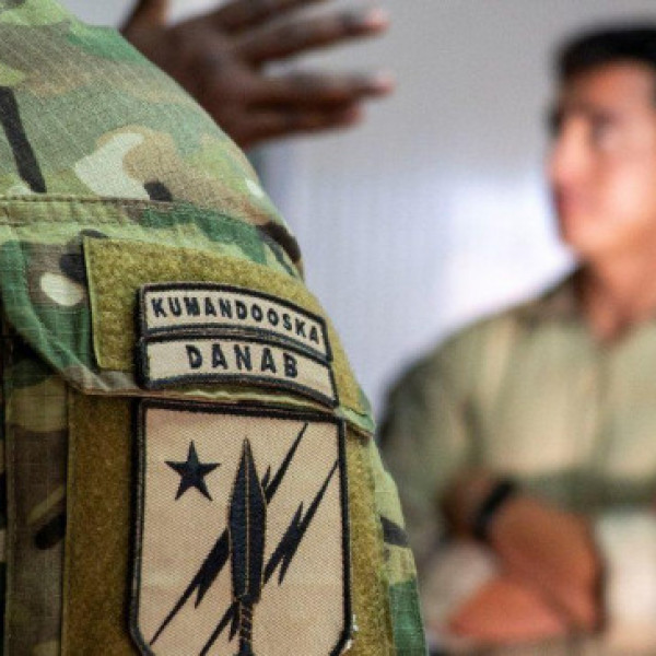 US pauses military aid to Somalias elite Danab commandos sources