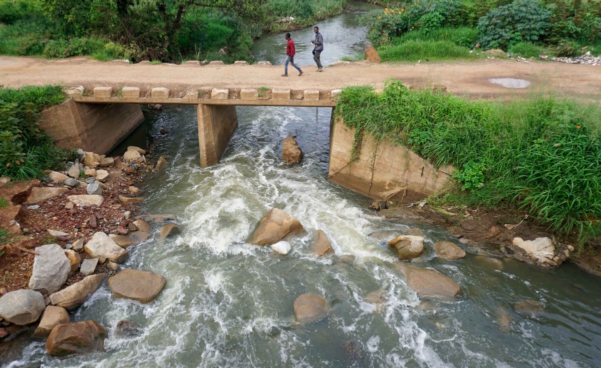 Zimbabweans Rally to Save Lake Chivero from Pollution