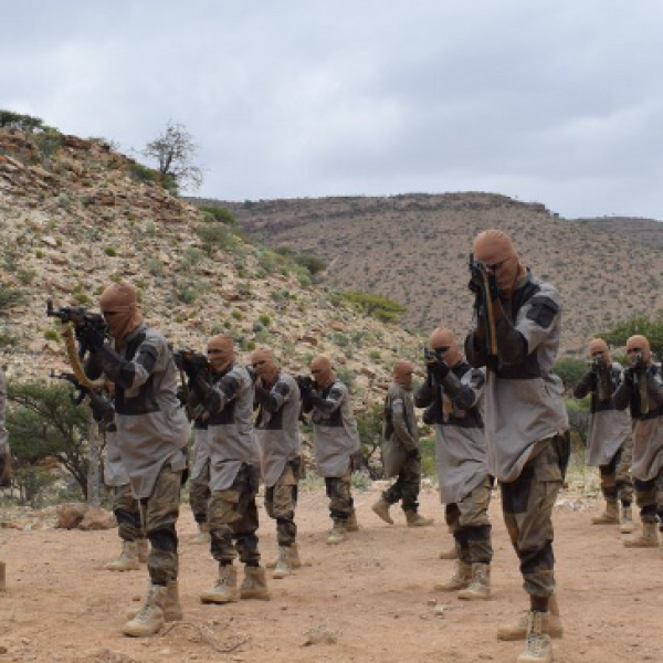 American citizen admits guilt over ties to Somalias ISIS affiliate
