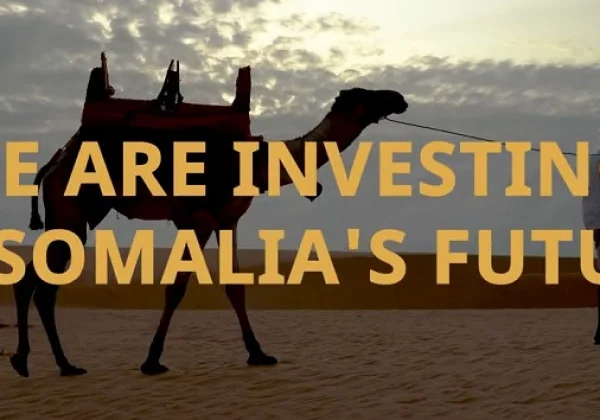 Global Gateway Initiative: Financing Somalia’s Long-Term Growth and Stability