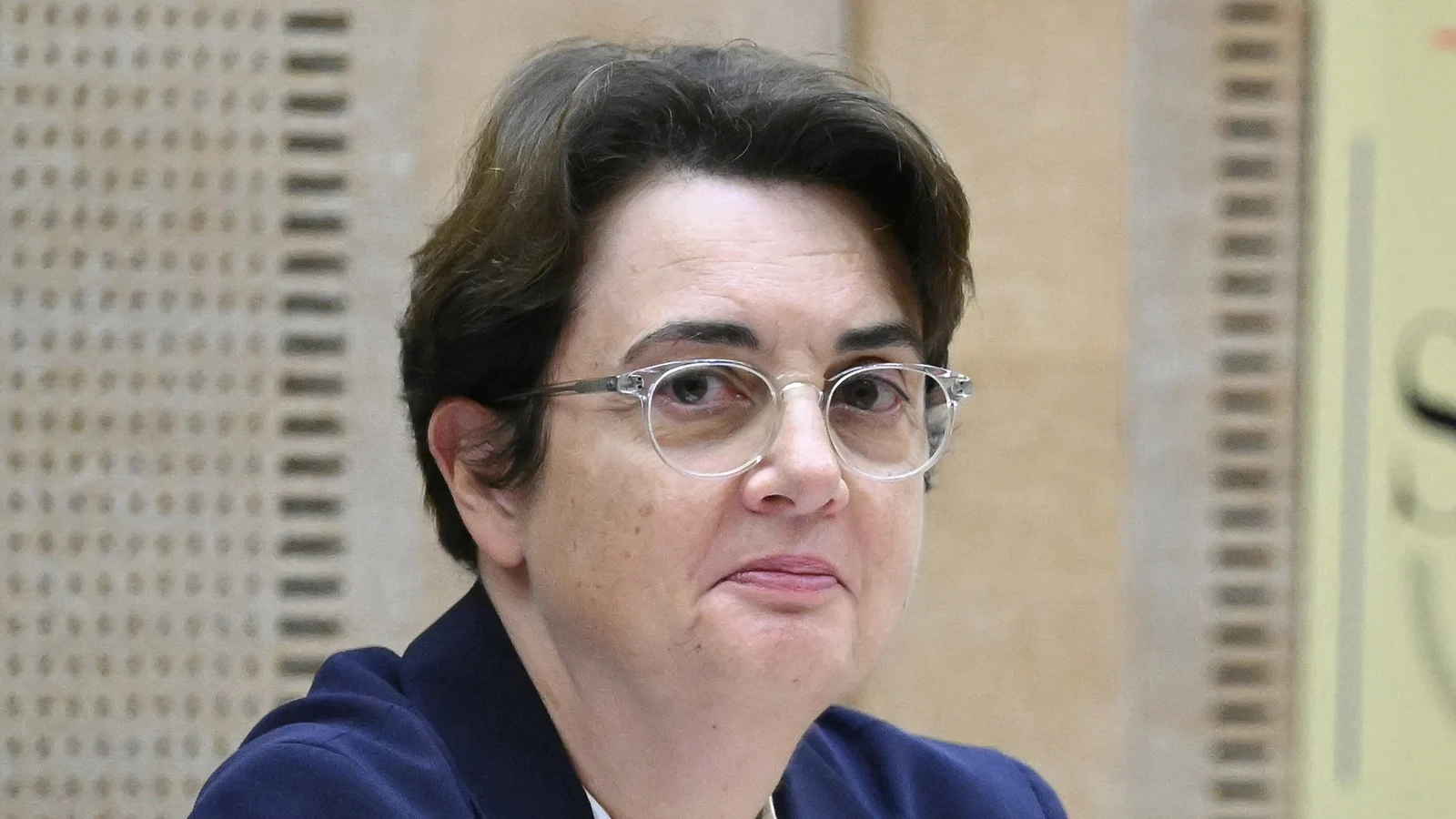 Louvre director admits 'insufficient' camera coverage of outside walls